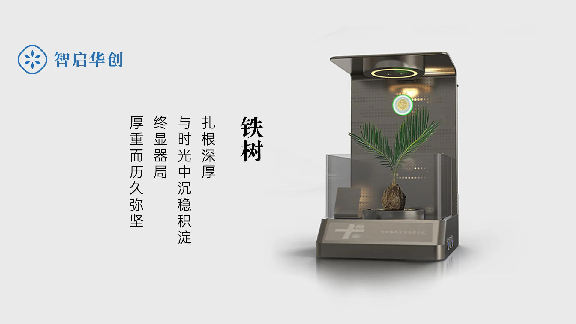 宁德时代绿植贡献奖定制 图片 3