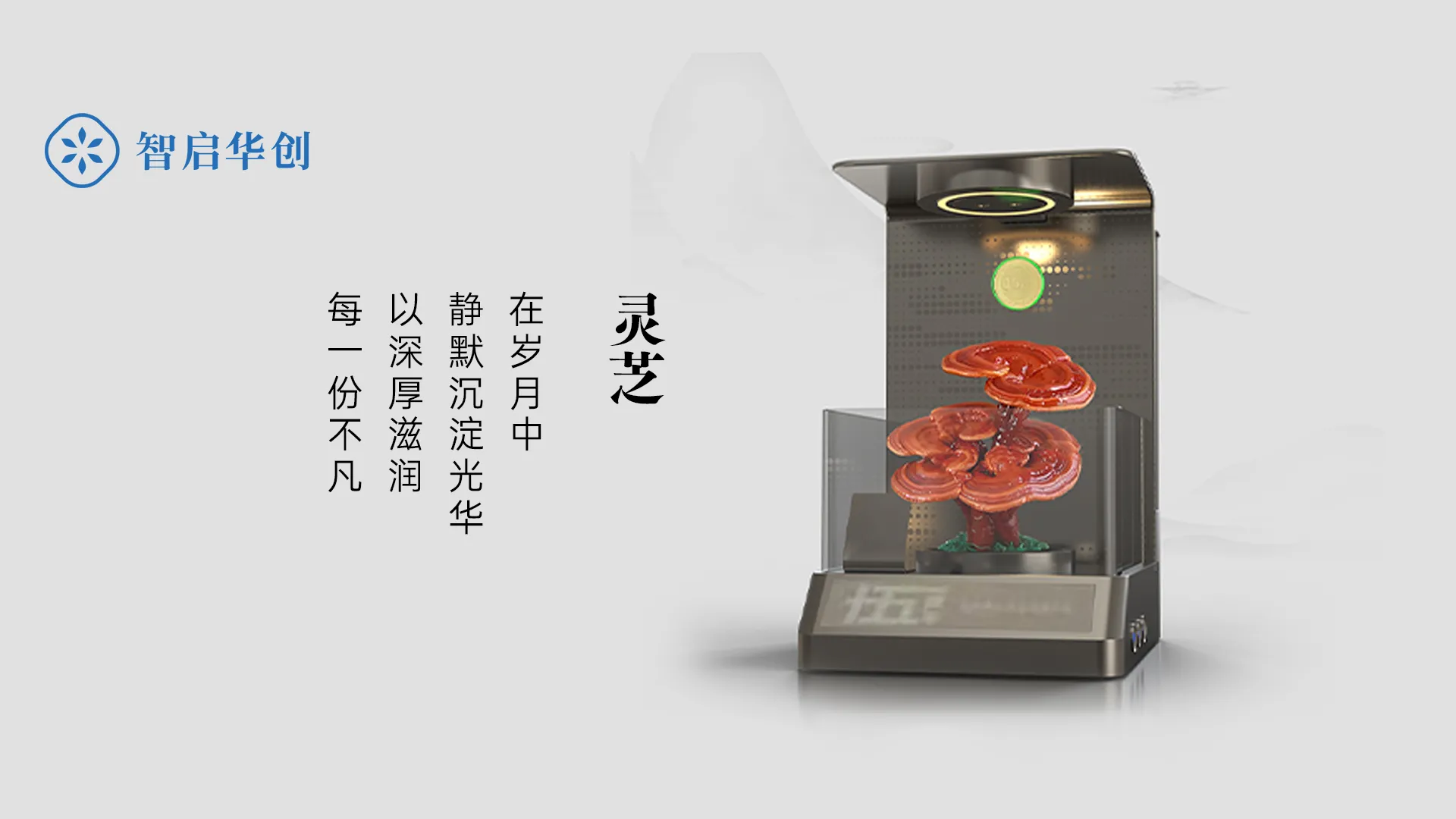 宁德时代绿植贡献奖定制 图片 4