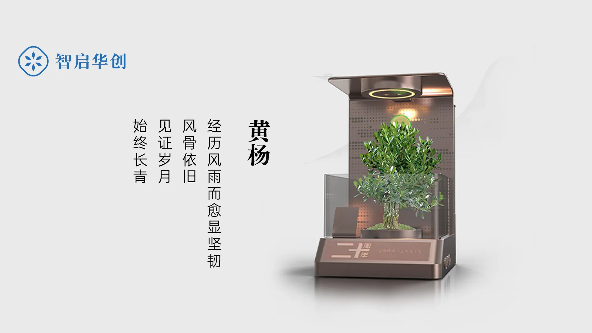 宁德时代绿植贡献奖定制 图片 5