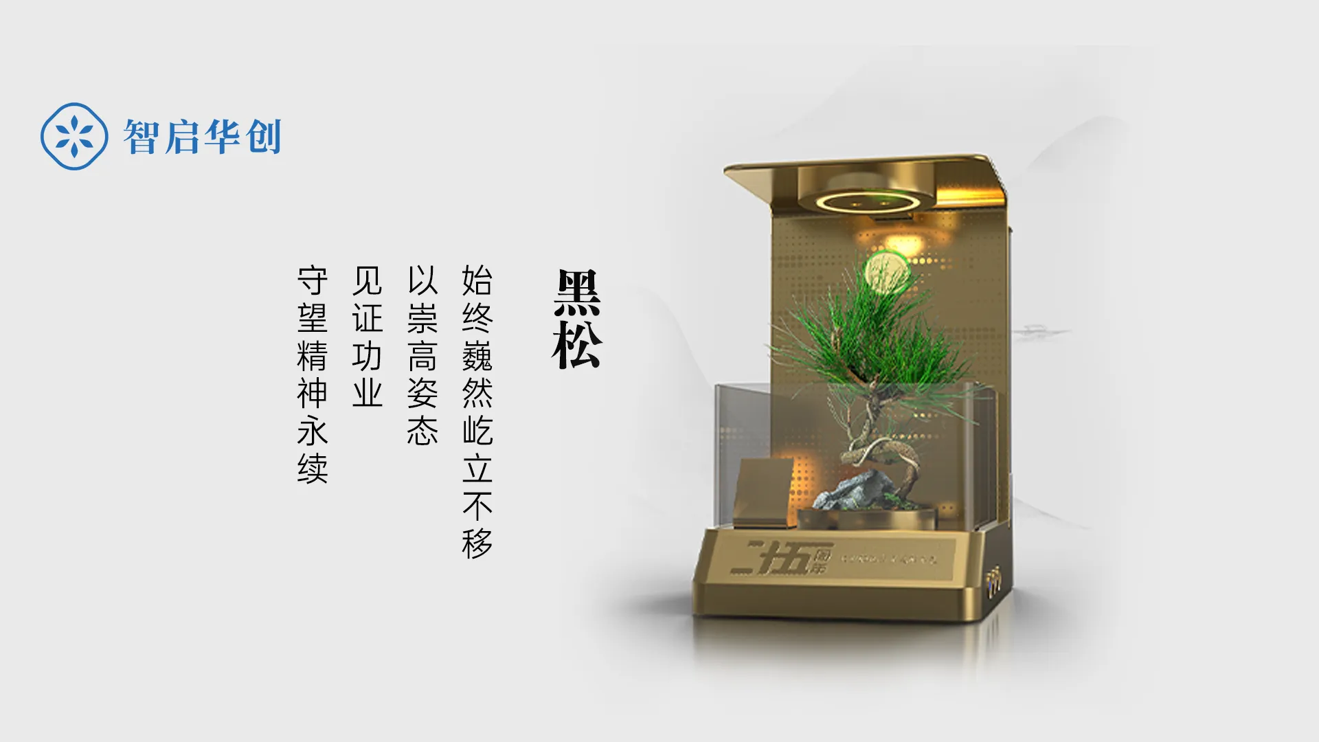 宁德时代绿植贡献奖定制 图片 6