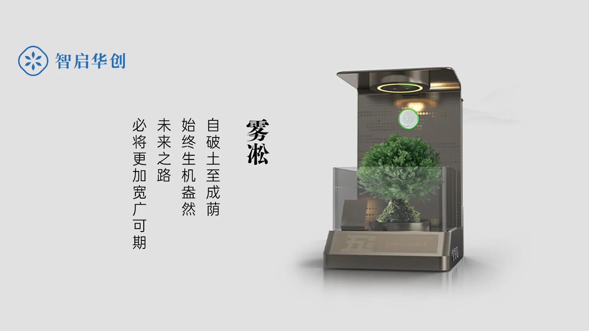 宁德时代绿植贡献奖定制 图片 2