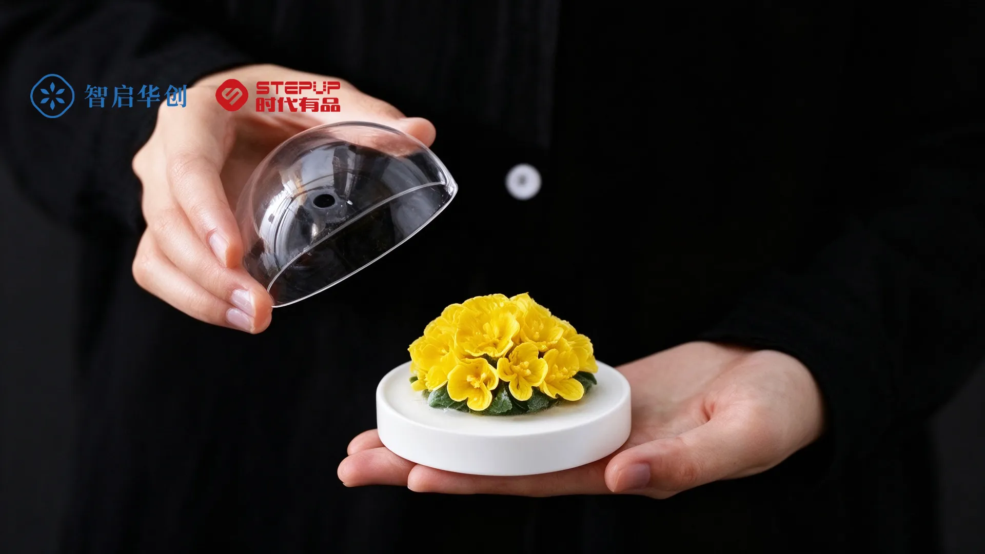月光桂影 花香夜 图片 3
